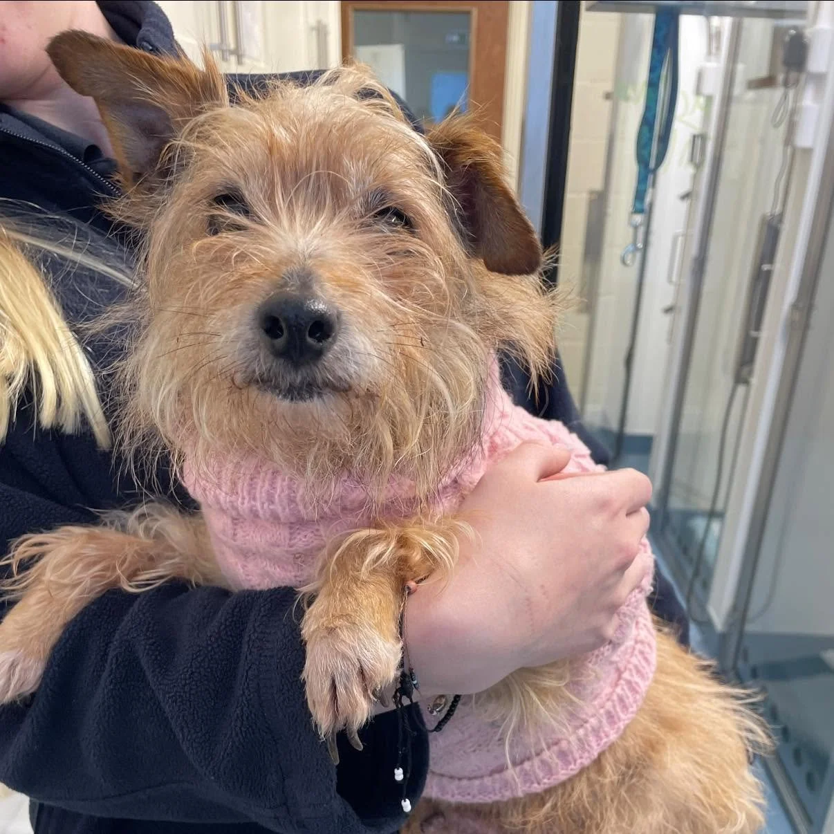 You may remember her… you saved her life - but she isn’t out of the woods yet