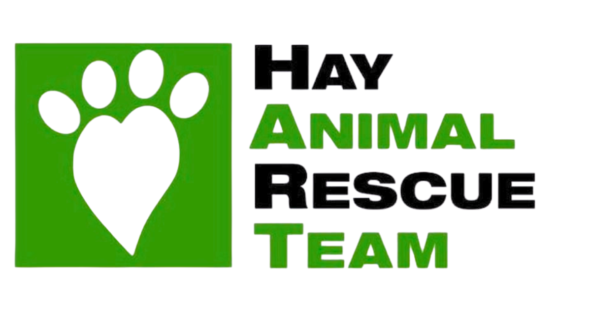 Hay Animal Rescue Team