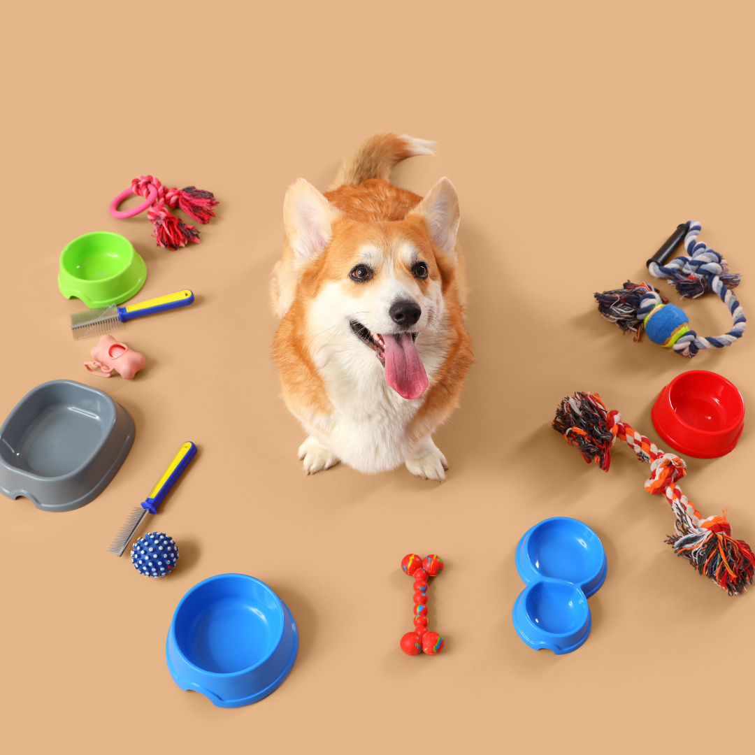 Donations needed at HART