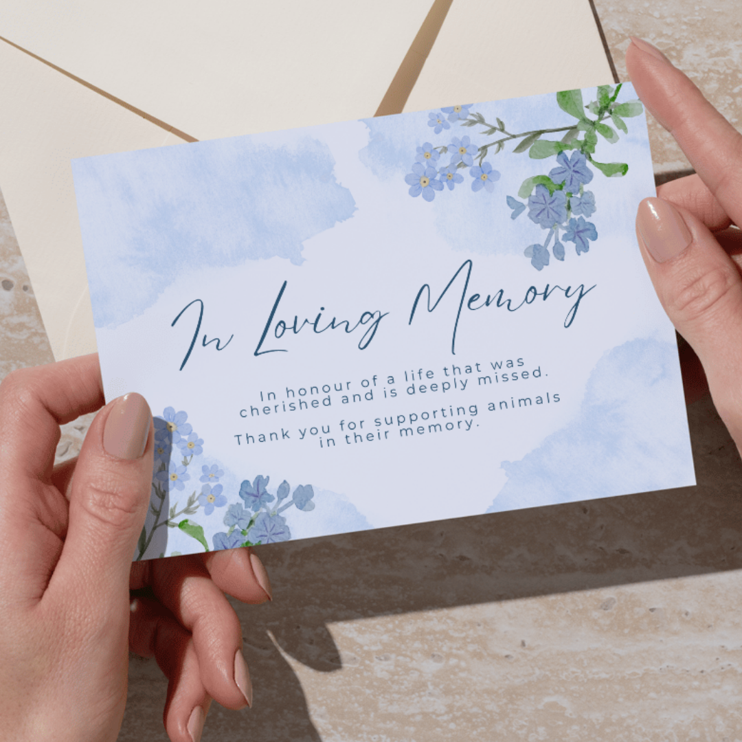 In Memory Donation