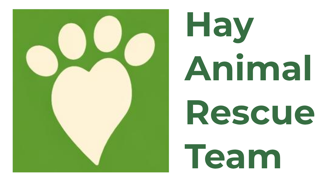 Hay Animal Rescue Team