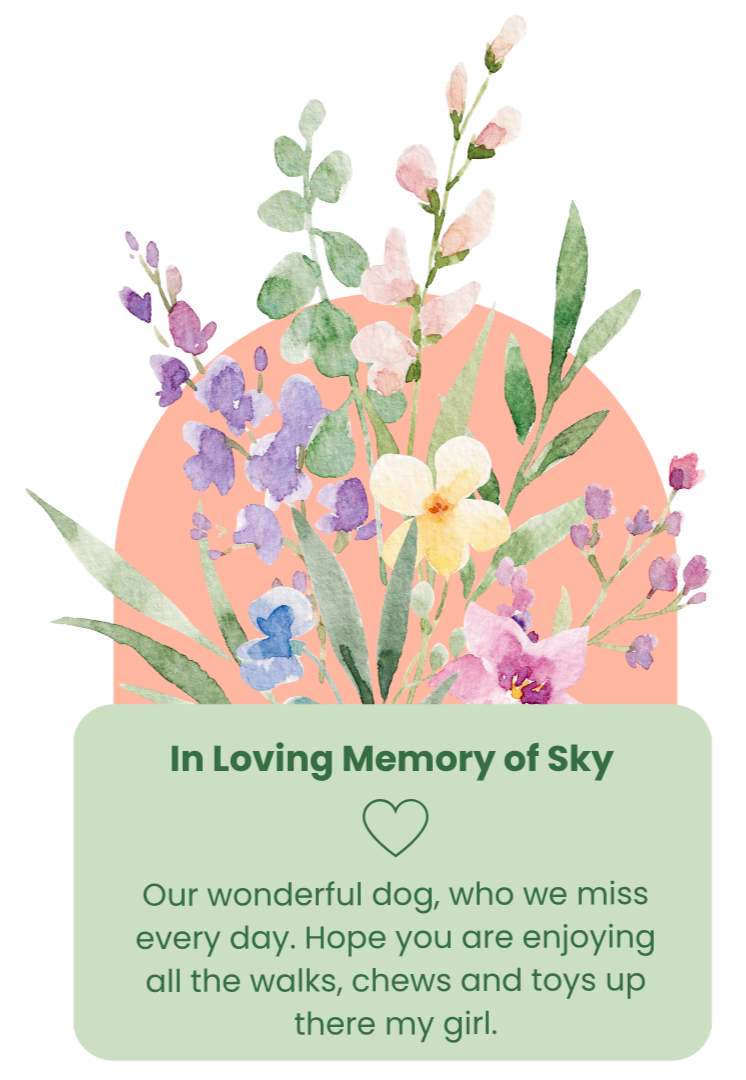 A floral arrangement with purple, yellow, and pink flowers and green leaves on a pink background, with a green plaque beneath that reads: 'In Loving Memory of Sky. Our wonderful dog, who we miss every day. Hope you are enjoying all the walks, chews and toys up there my girl.'