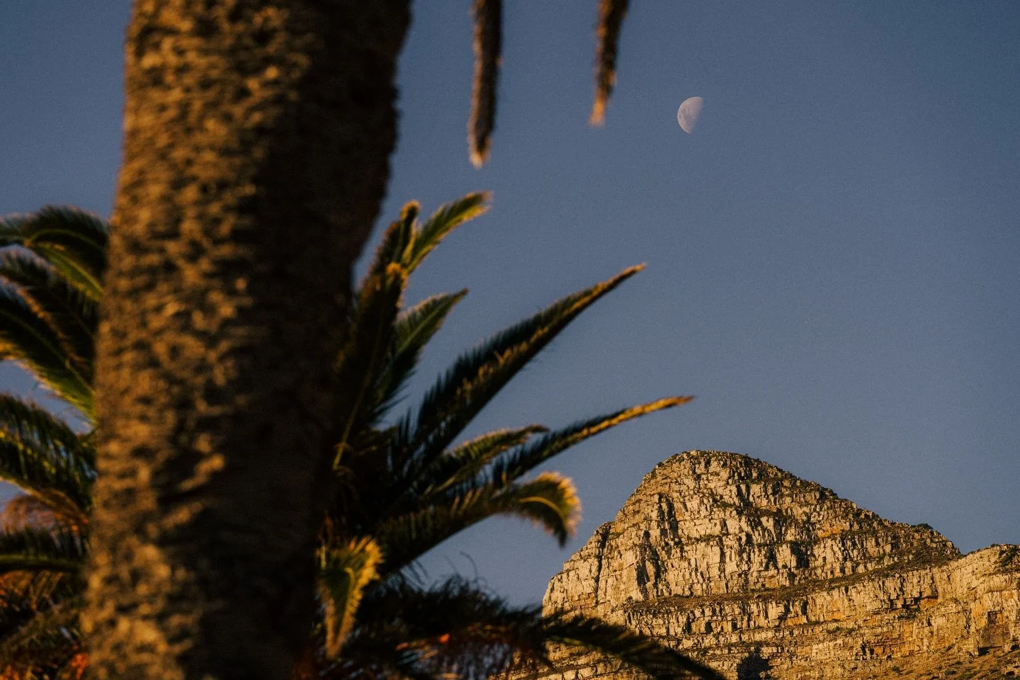 CapeTown en vrac 🇿🇦

#southafrica #capetown #fujifilmfrance #xe5 #pausephotolarochelle