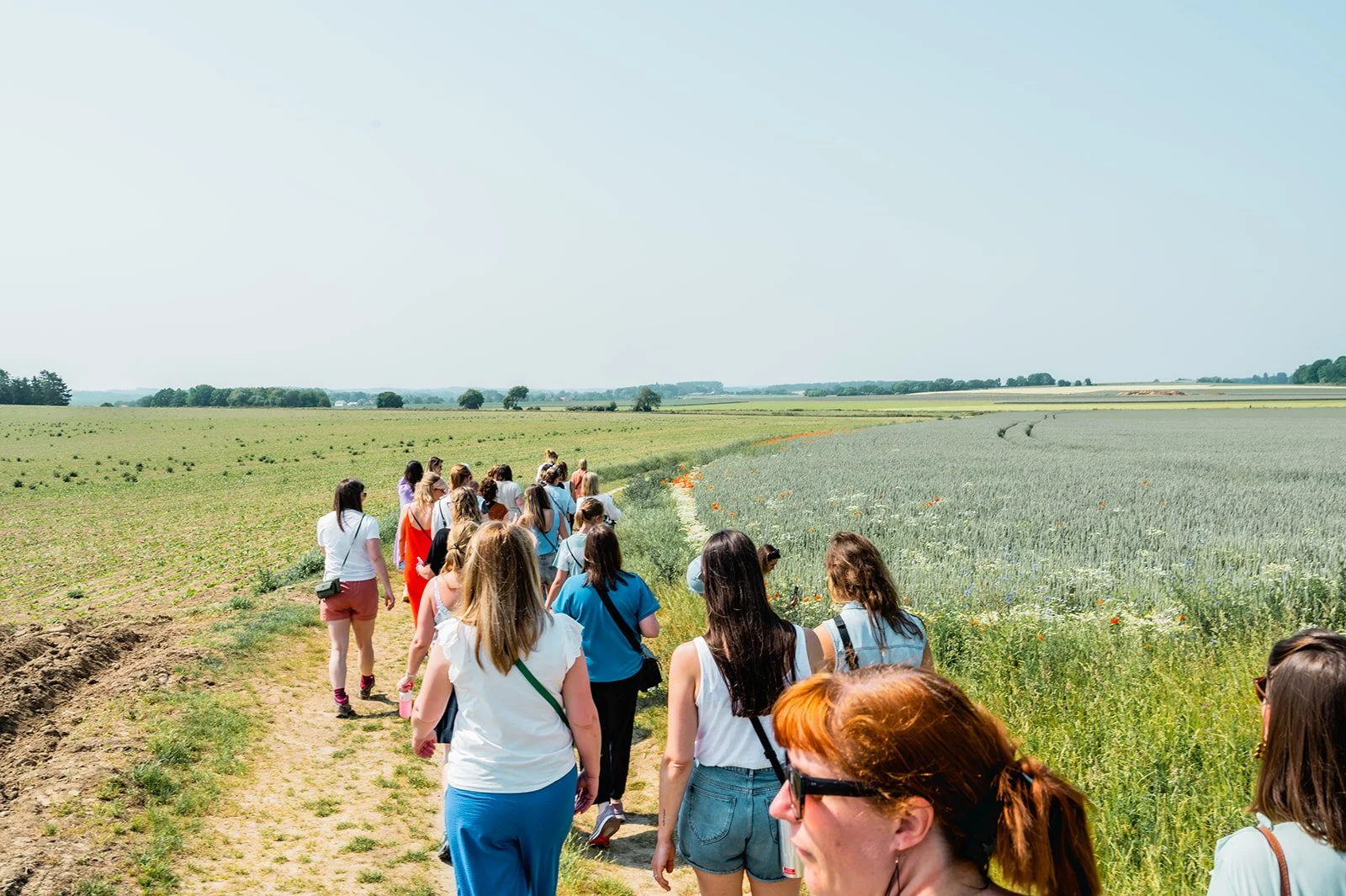 compagnonne clan bierbeek - door An Epic ViewDSC_3344.jpg