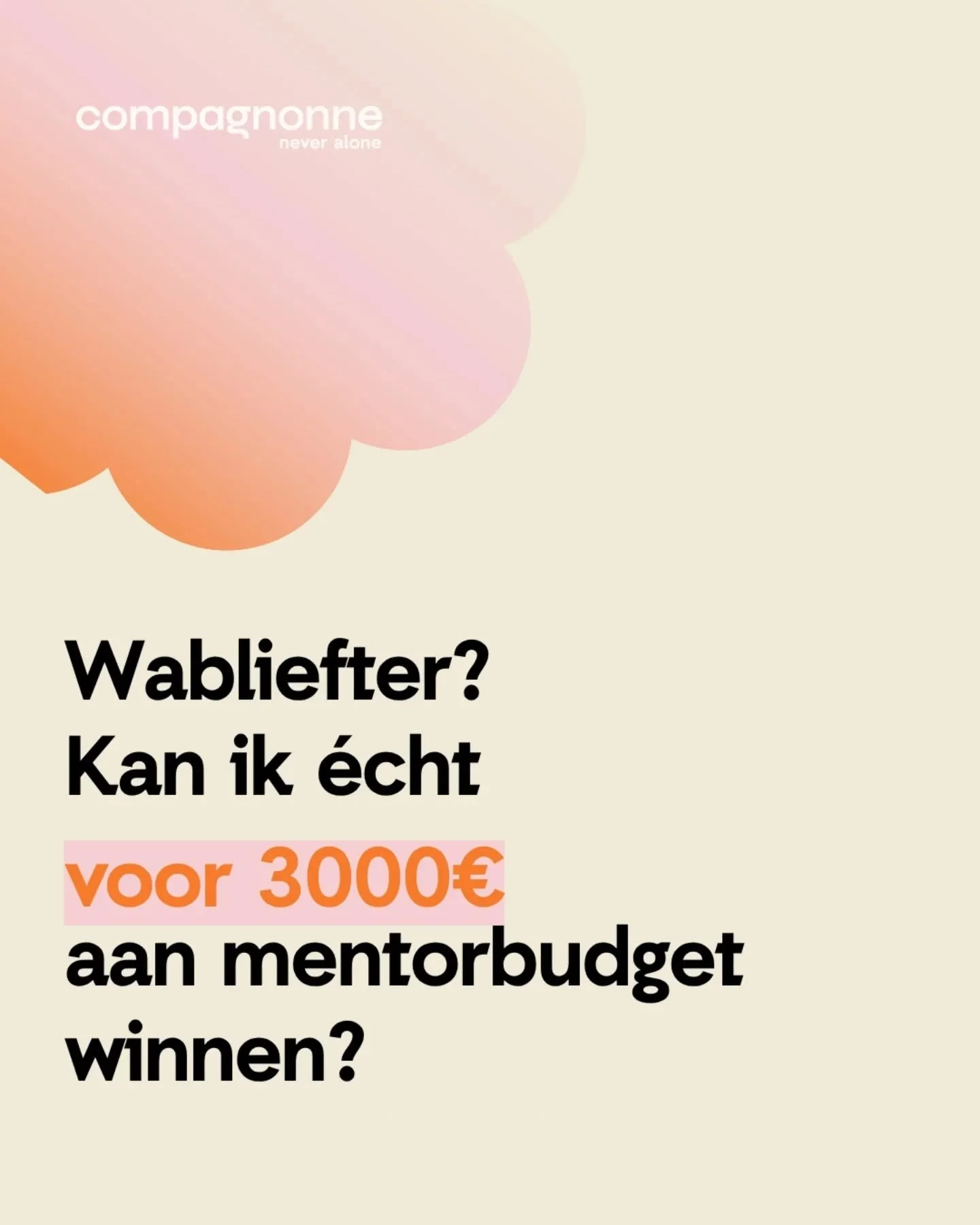 🔥 WABLIEFT? 3000 euro aan mentorbudget?

Dames en heren,

't is hier van de win! 👊

Herken jij je volgende beschrijving?

👉 Je bedrijf stroomt al goed en draait ongeveer tussen de 100K en 250K omzet.

👉 Je droomt ervan door te schalen naar een be