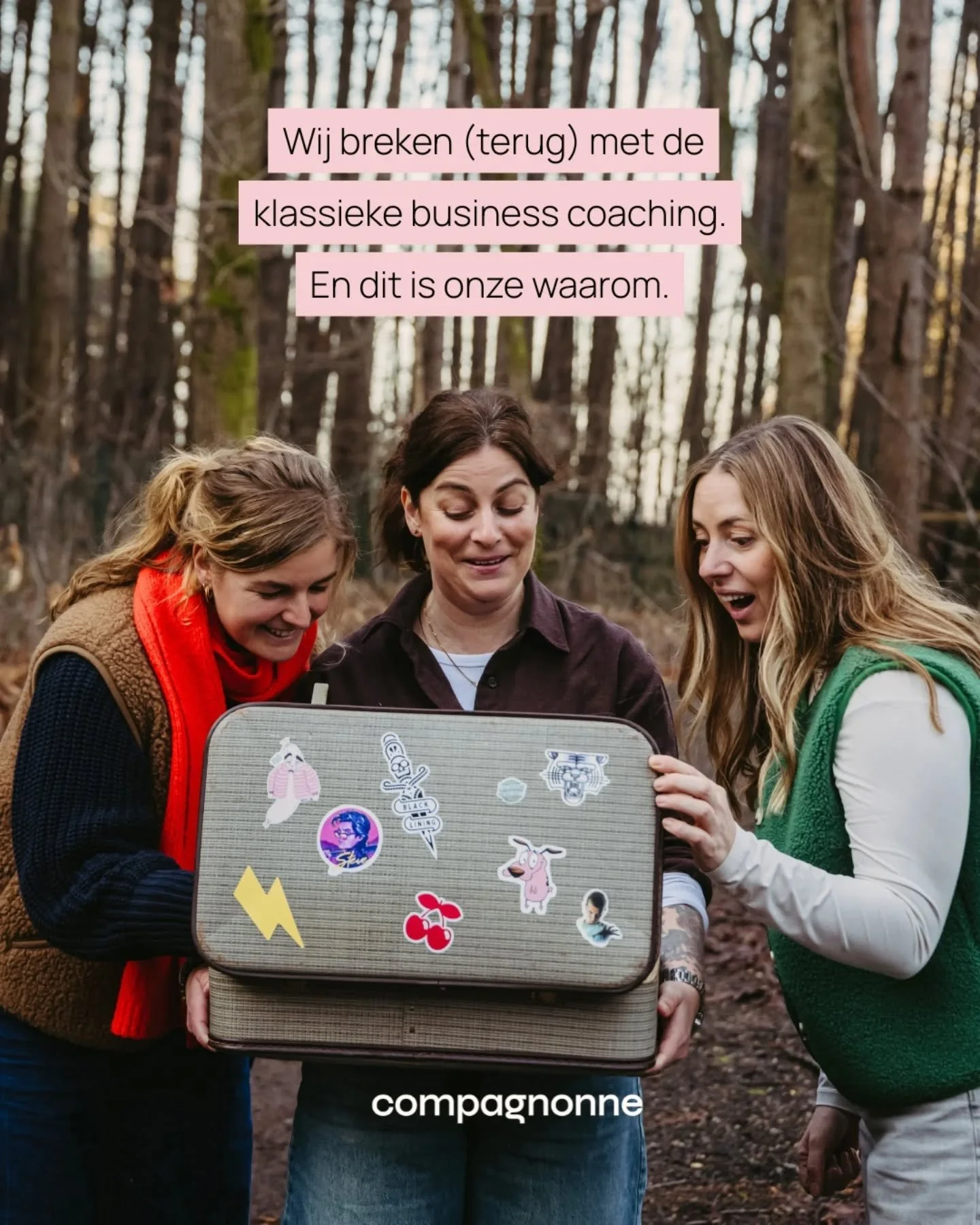 'MAAR GE VERTELT HET NIET MEER', zei ze.

Auw, die kwam aan. Maar ik wist dat ze gelijk had, die kanjer van een Annelies. Want die andere kanjer van een Elisabet had de week voordien net hetzelfde gezegd.

Het ging over ons verhaal.
Hoe we waren gest