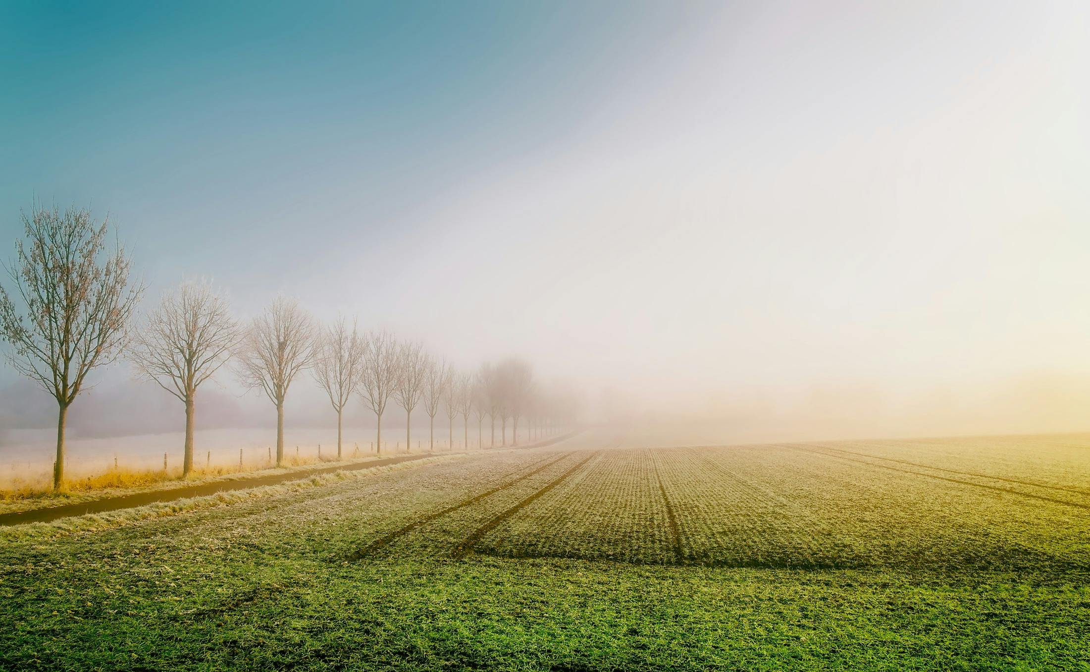 Winter Turf Maintenance Tips for Landscapers