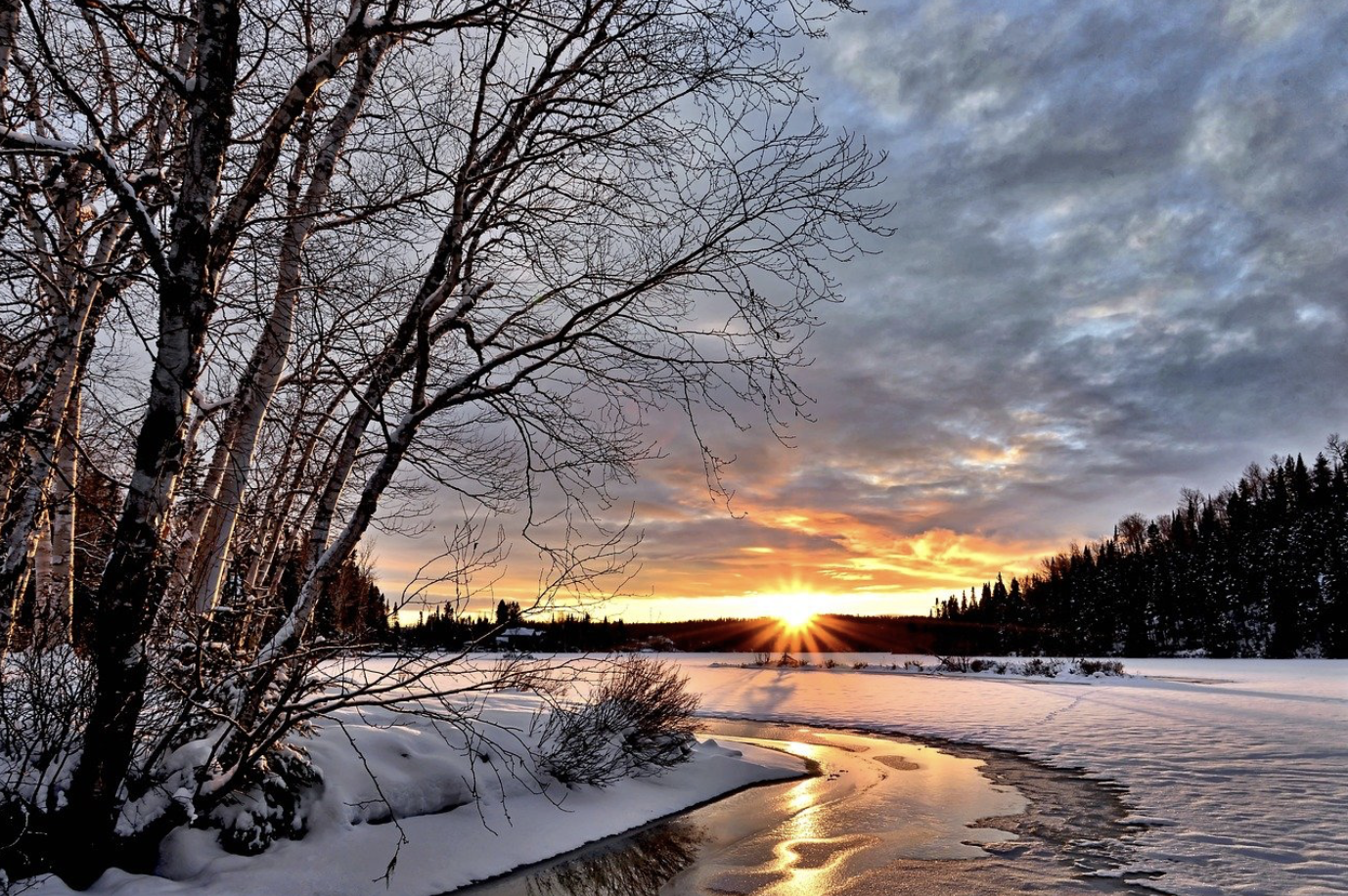 5 Steps for to prep gardens and lawns for winter