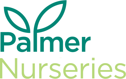 Palmer Nurseries