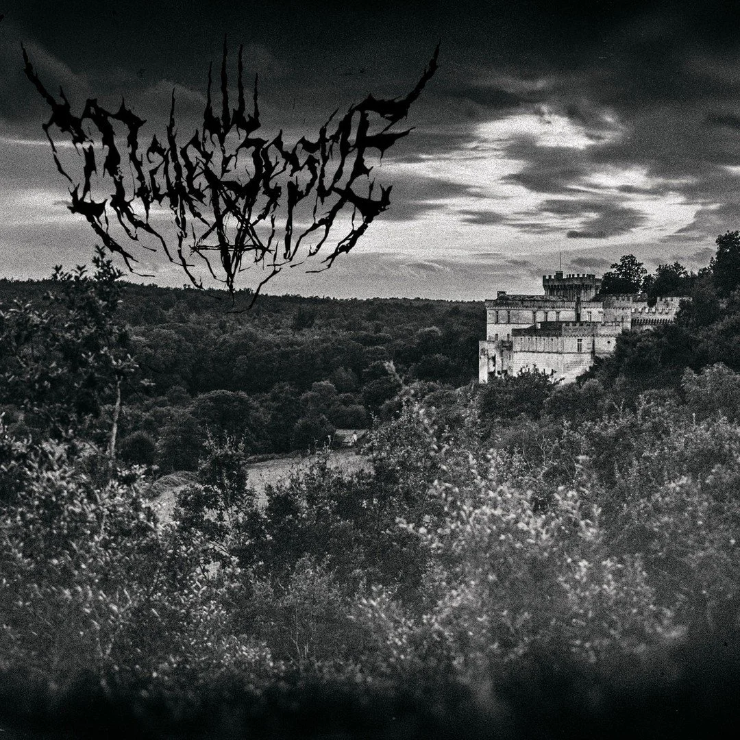New single by Malebeste out now! Evil, cold and grim black metal! I handled Mastering🎛 on this one ✌️Listen on Bandcamp: https://malebeste.bandcamp.com/track/le-puits-denfer