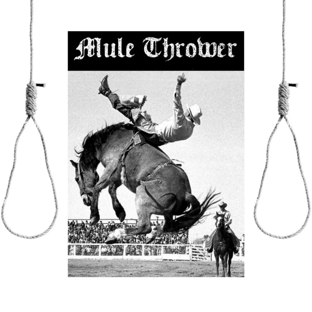 New single by @mulethrower out now! This time, I had the luck to not only Mix/Master but to also ReAmp and play some bass!! 🤘Thanks to @mulethrower for the trust and make sure to listen if you like heavy music!