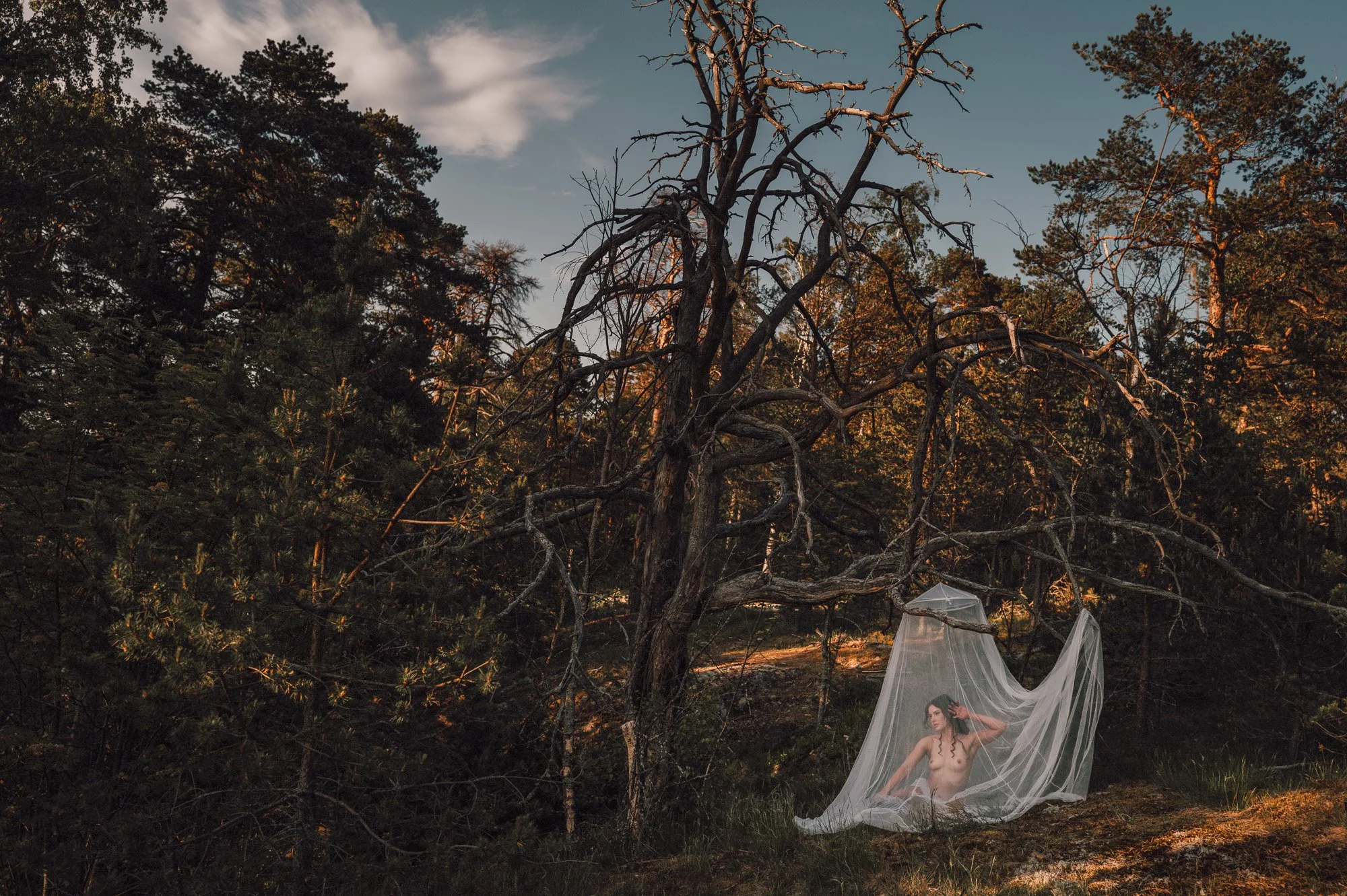 Huomenlahjakuvaus luonnossa