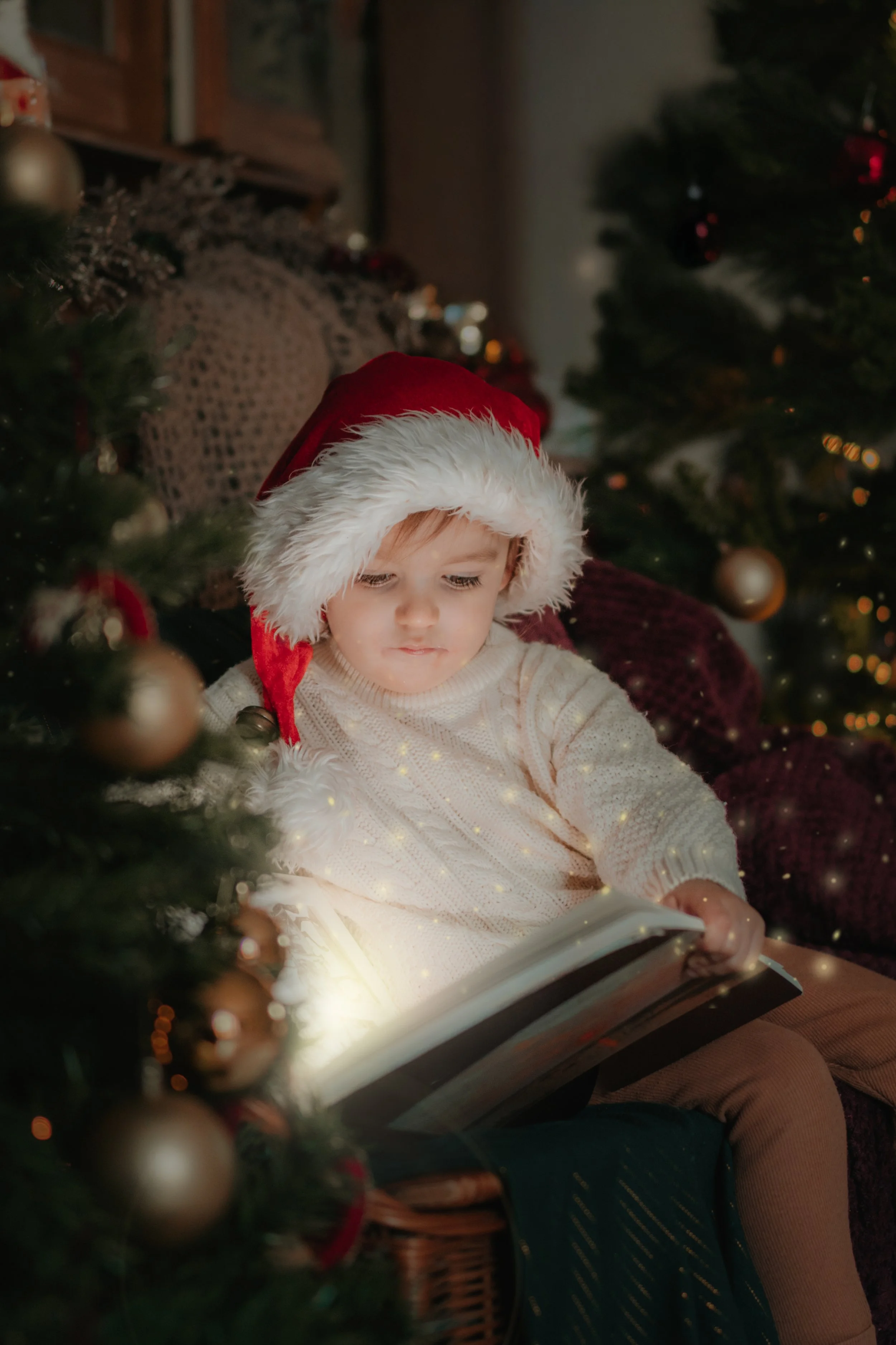 mini séance noël saint rémy de provence