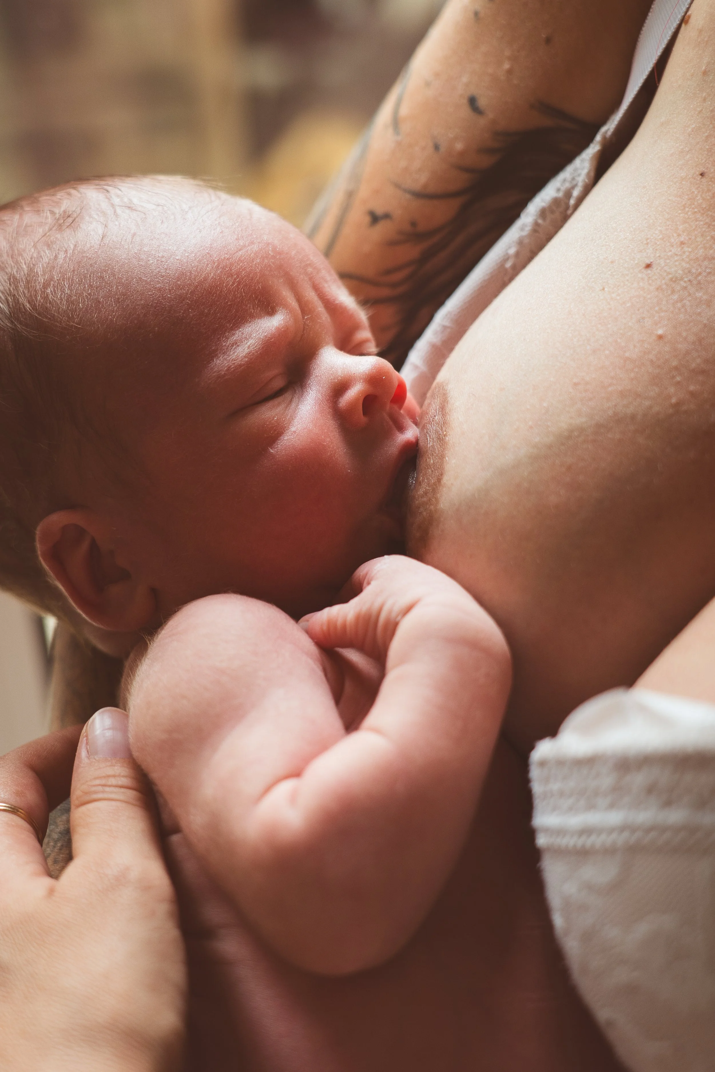 Bébé allaité par une mère, gros plan sur le visage du bébé et le sein de la mère.