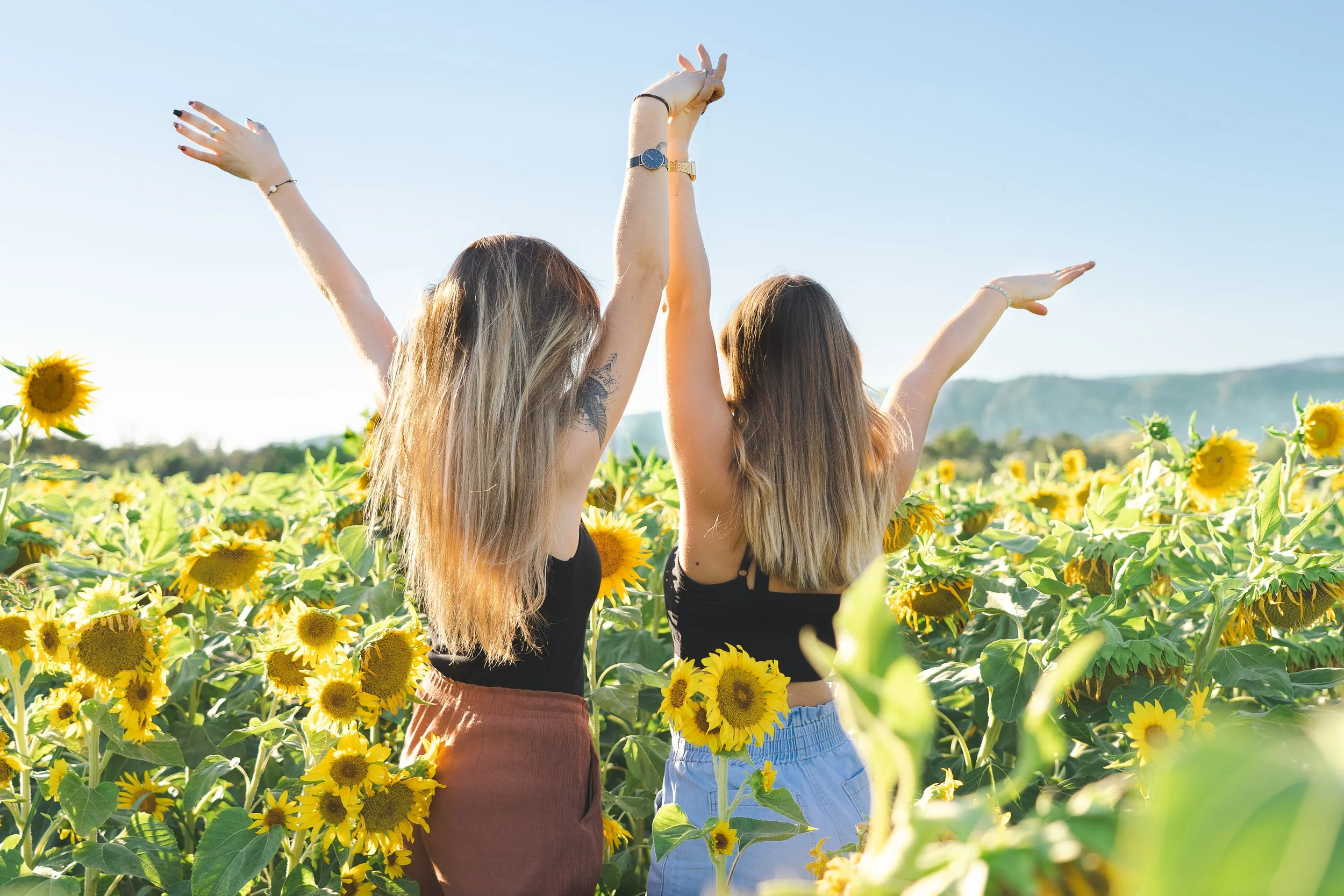 Deux personnes debout dans un champ de tournesols, levant les bras vers le ciel.
