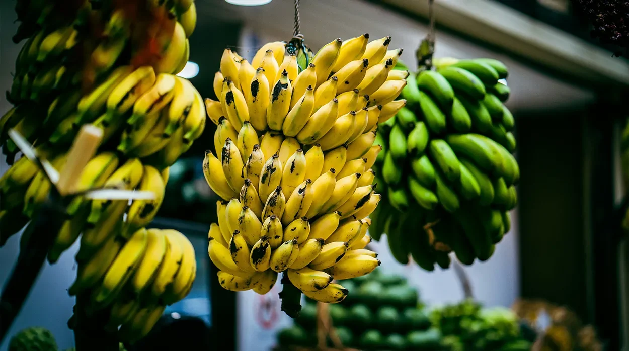 Discover Madeira’s Sweetest Treasure