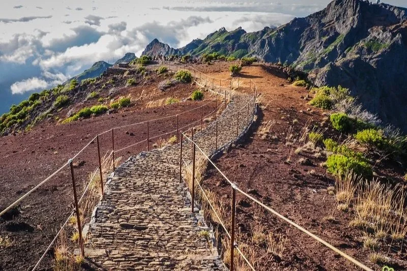 Madeira Hiking &amp; Nature Trip