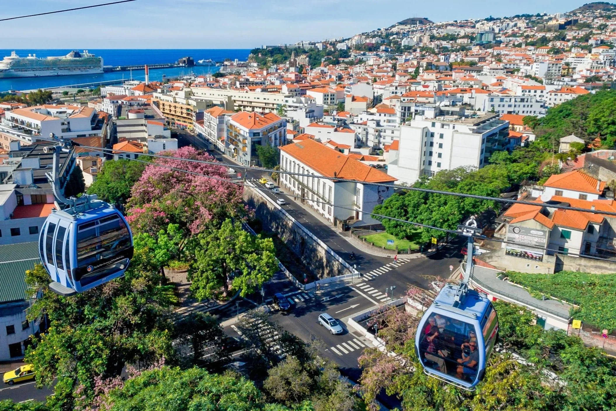 Best Places to Stay in Madeira (Area Guide)