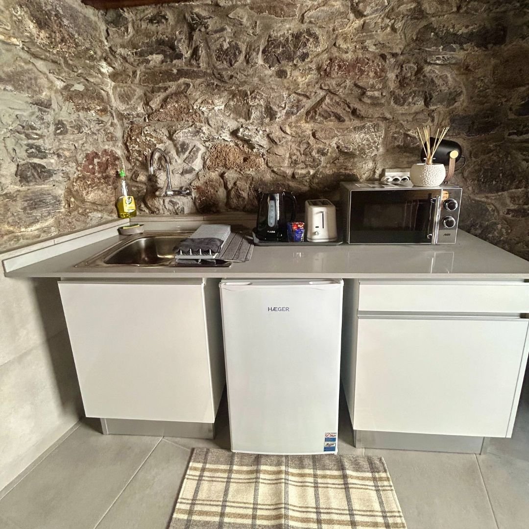 The kitchenette in close-up: a sink and two ring hob in a stone recess, with a kettle, toaster, microwave and undercounter fridge