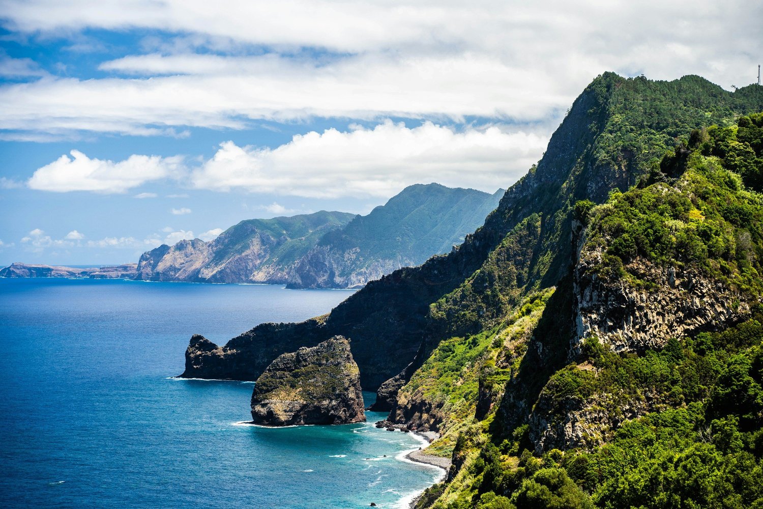 Misty green Madeira interior