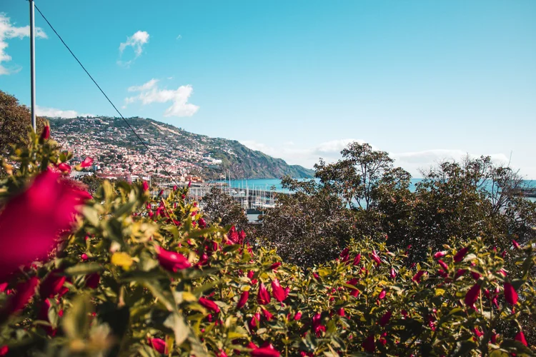 Summer evenings over Funchal bay, when the Atlantic Festival fireworks run