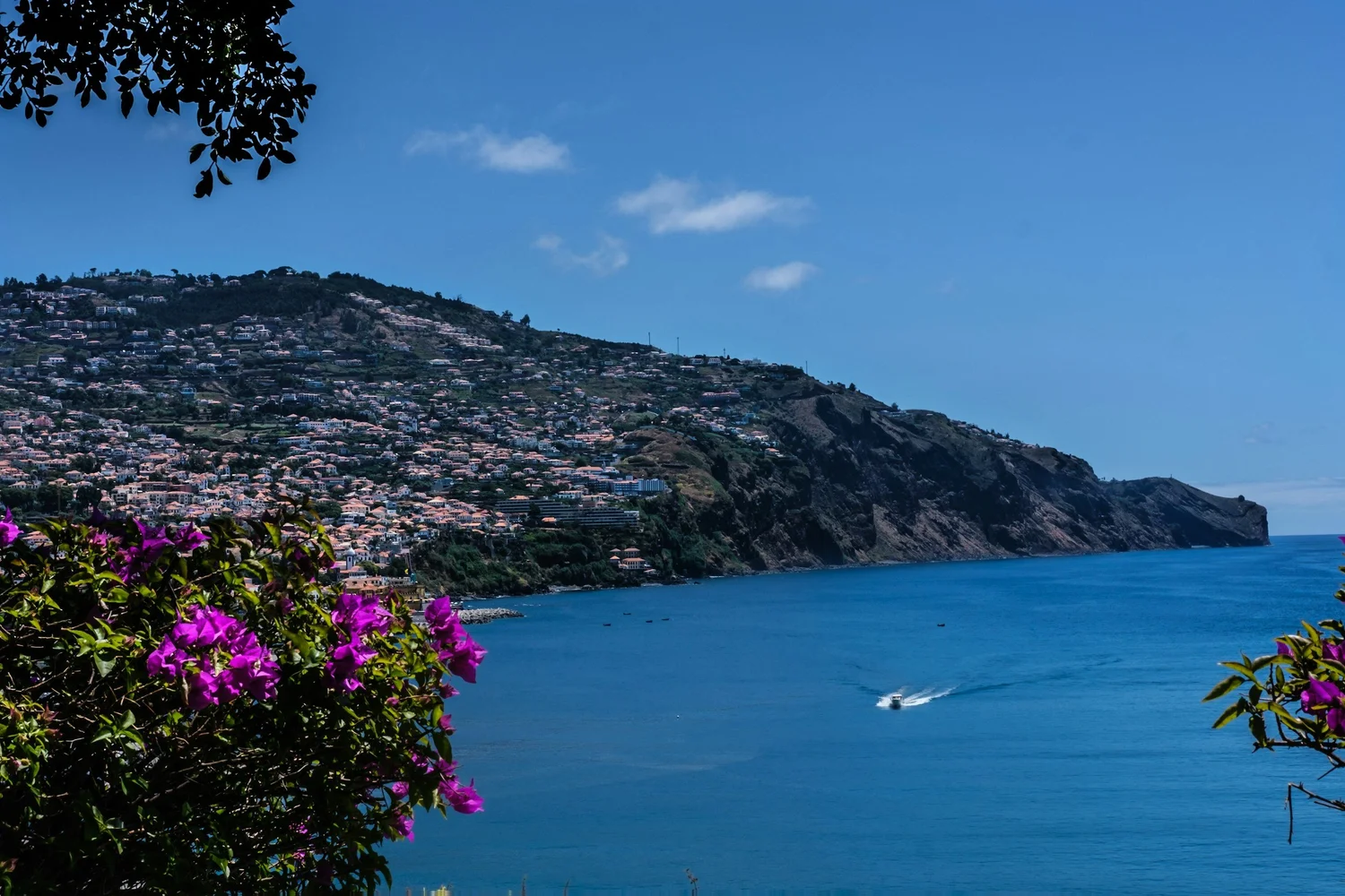 Madeira in spring