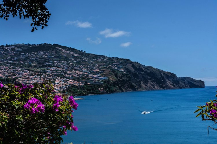 Madeira's hillsides green and in flower in spring