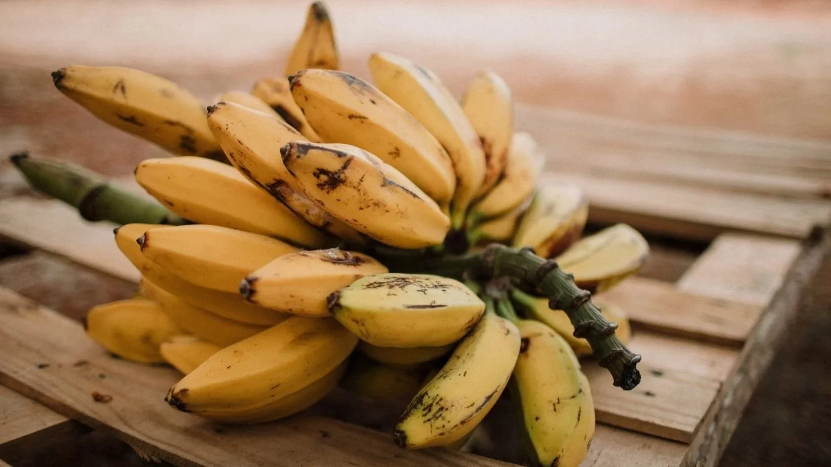 Banana+da+Madeira.jpg