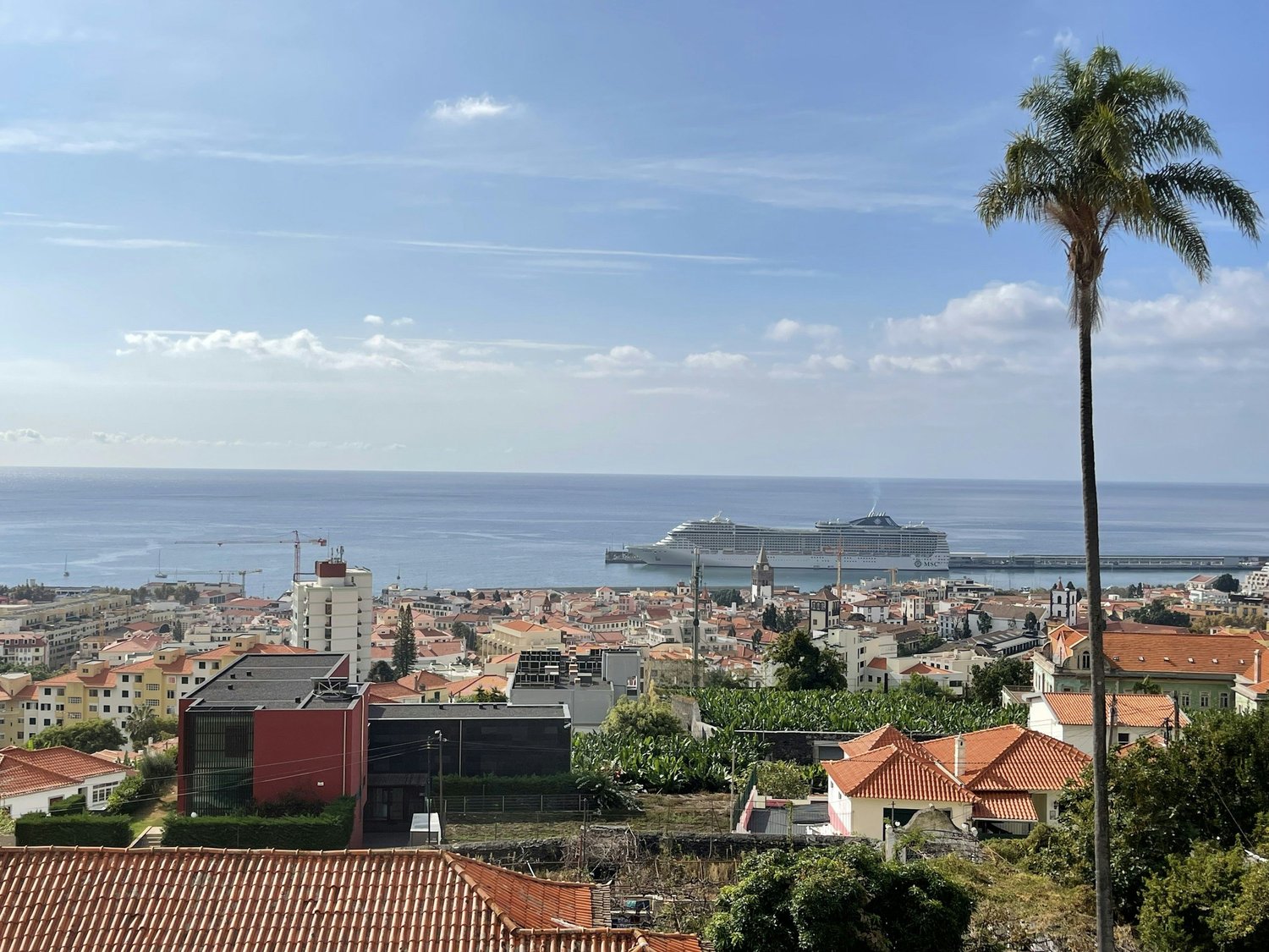 Funchal Old Town streets
