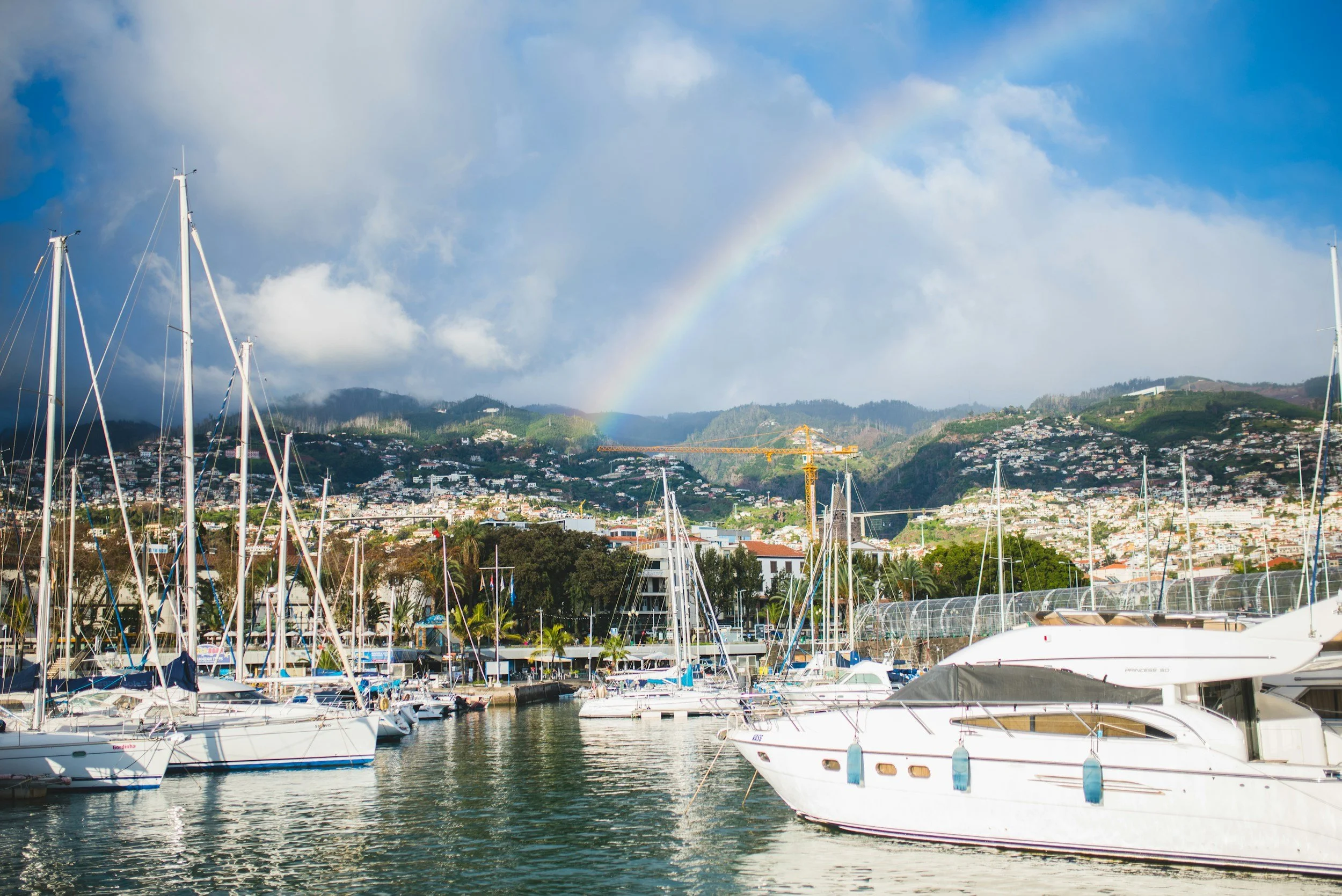 Best Time to Visit Madeira: Month-by-Month Guide