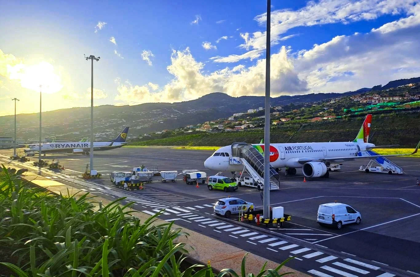 Madeira Travel Guide (2026): Ultimate Tips, Itineraries &amp; Where to Stay