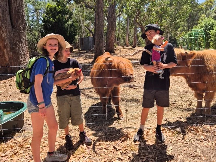 Ben's Bandits-David Attenborough presents-3.jpg