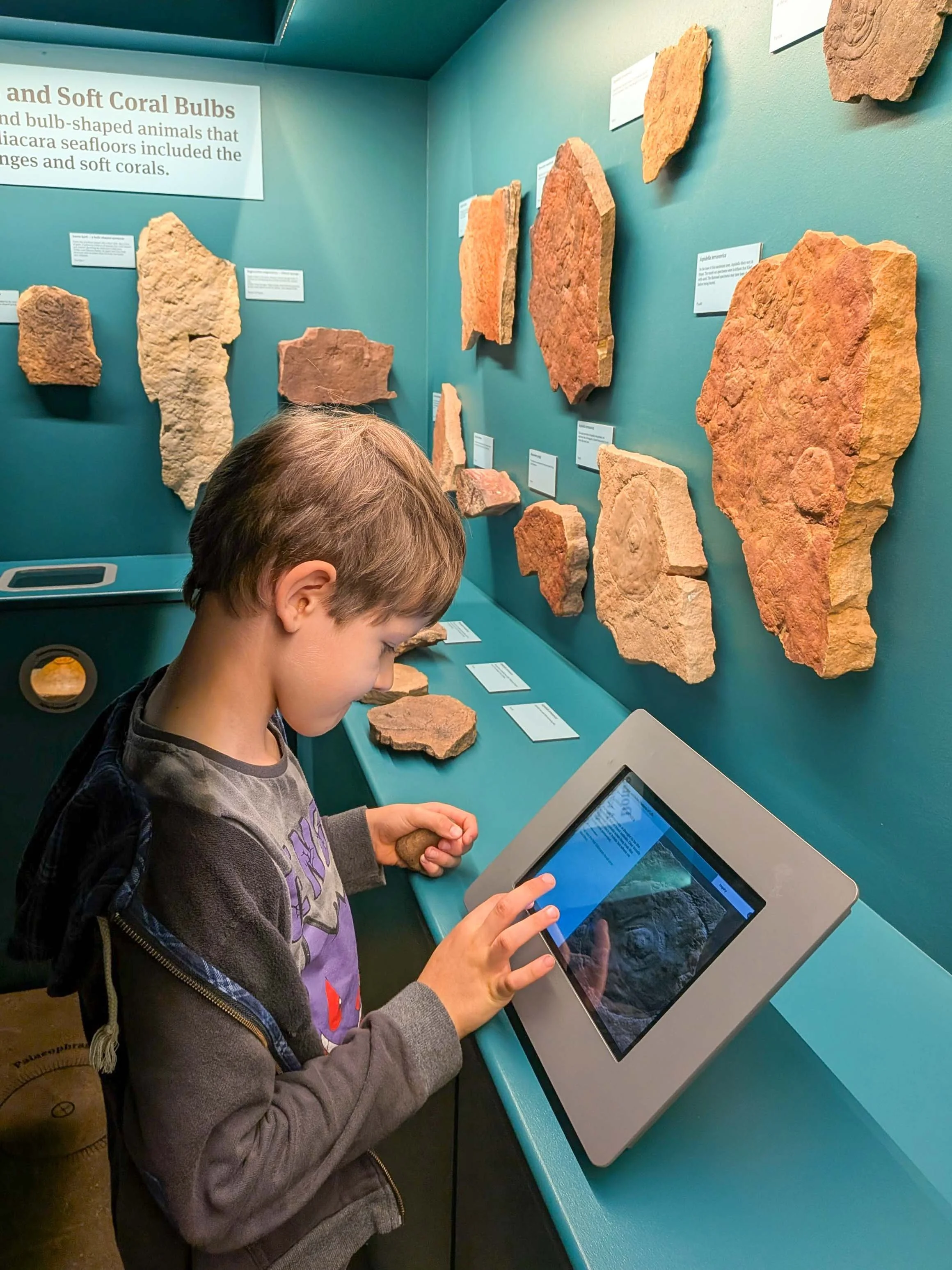ned at museum-5.jpg