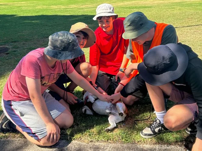 Dave's Daredevils-Woof! Woof!-8.jpg