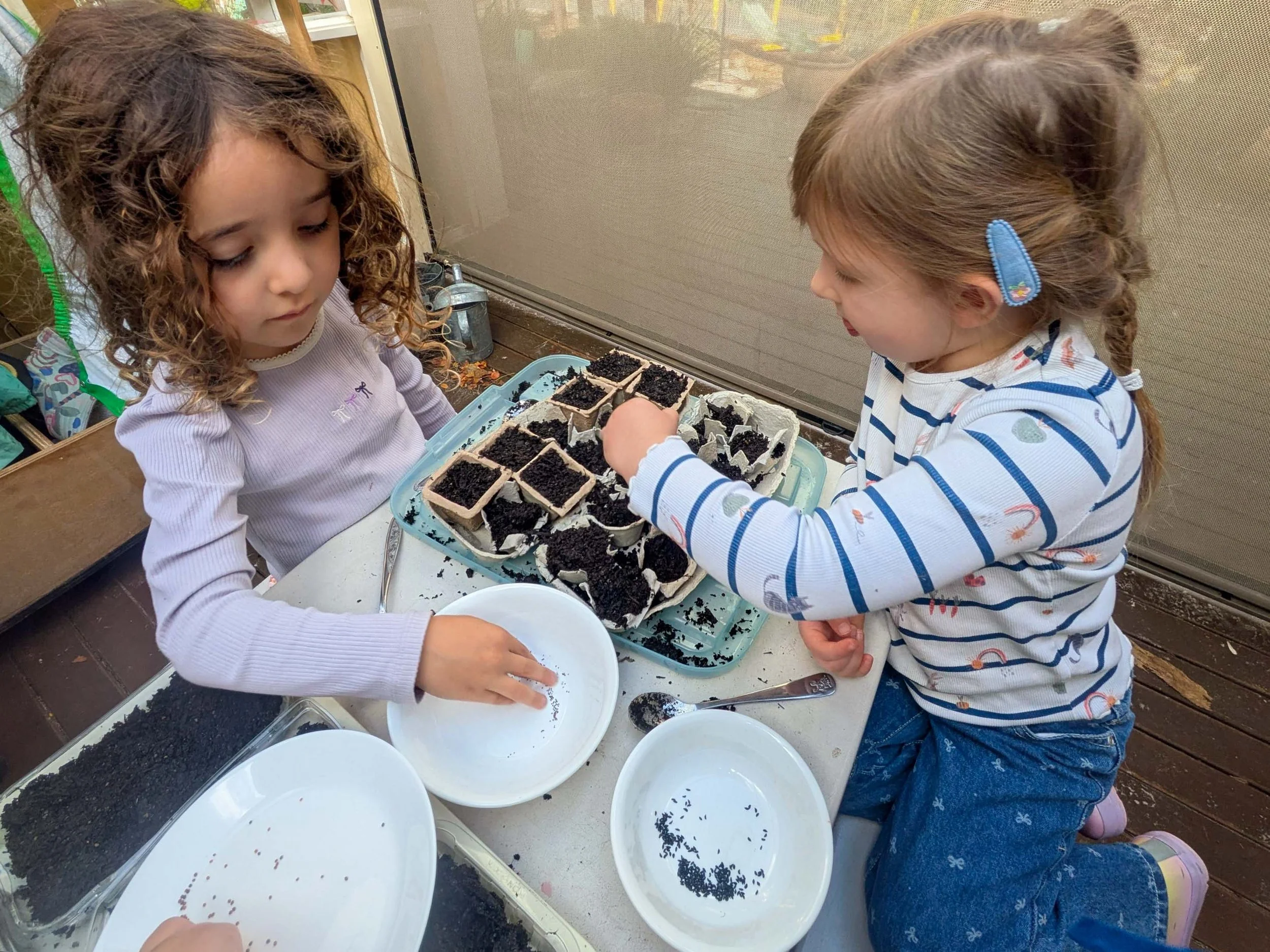 planting seeds-4.jpg