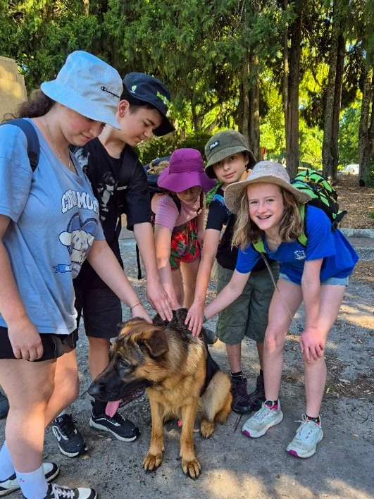 Ben's Bandits-Woof! Woof!-11.jpg