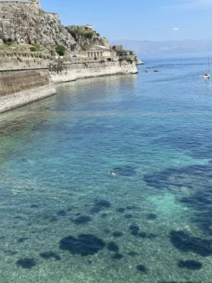 Falikari.webp
