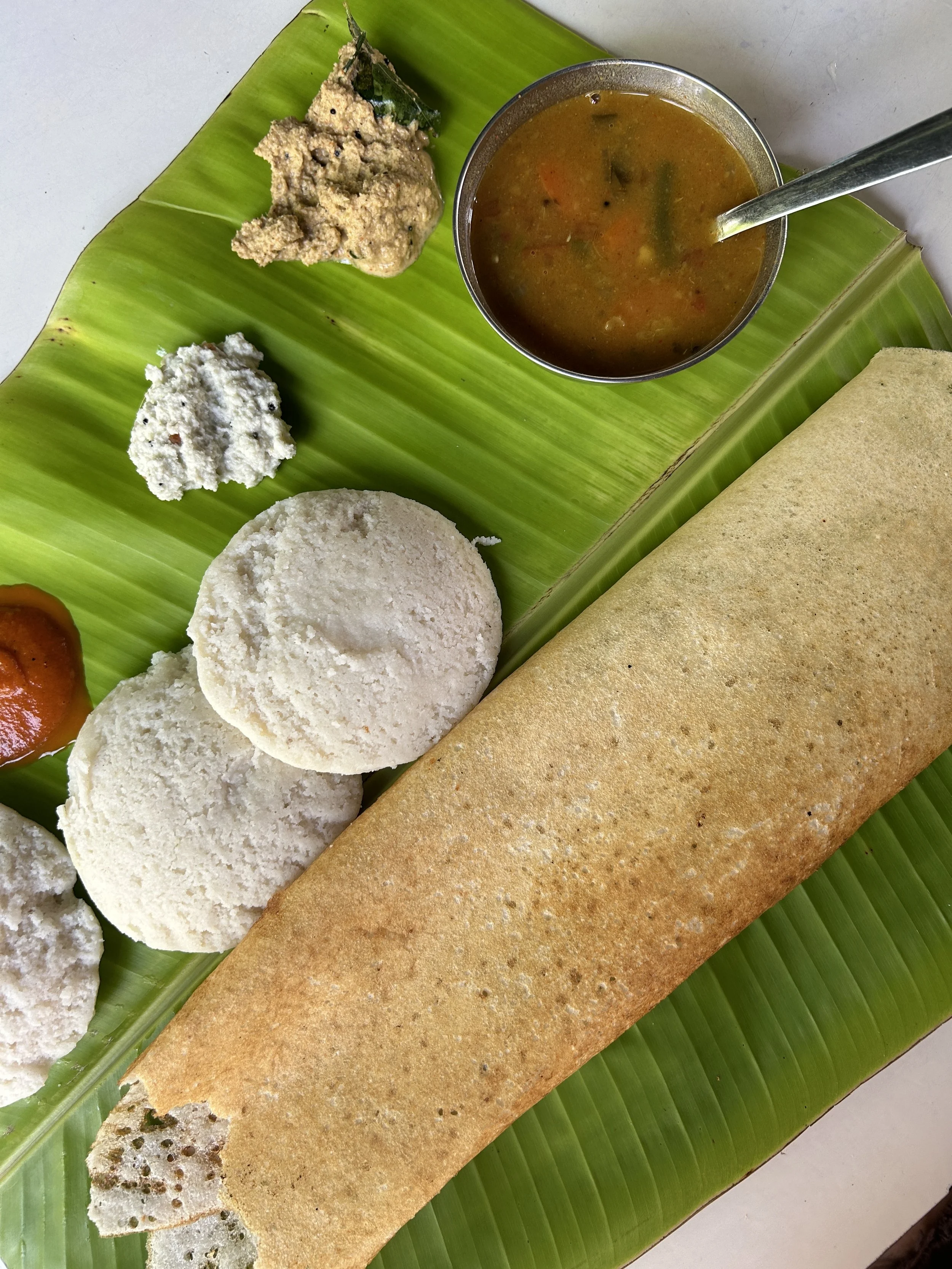 Plain Dosa and idli @chennai