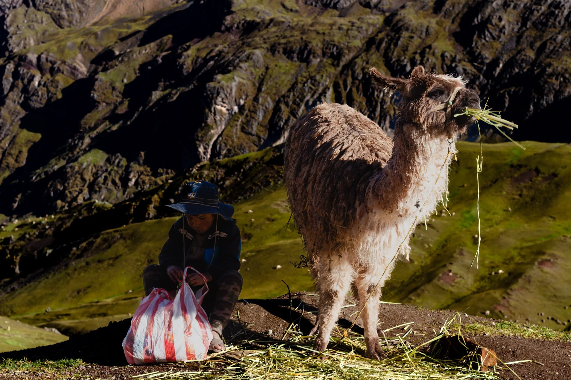 Veronica Di Maggio 2 .jpg