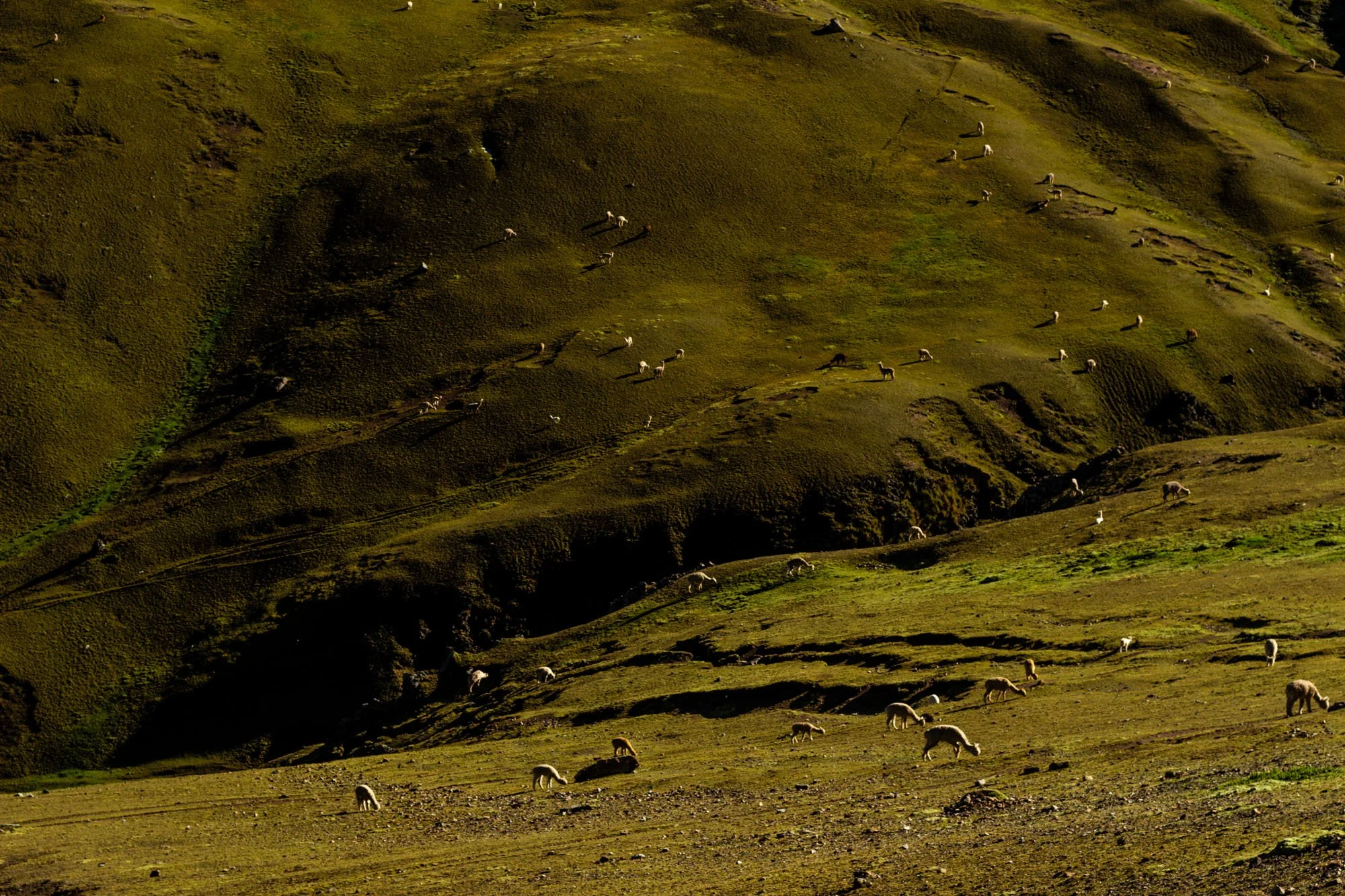 Veronica Di Maggio 4.jpg