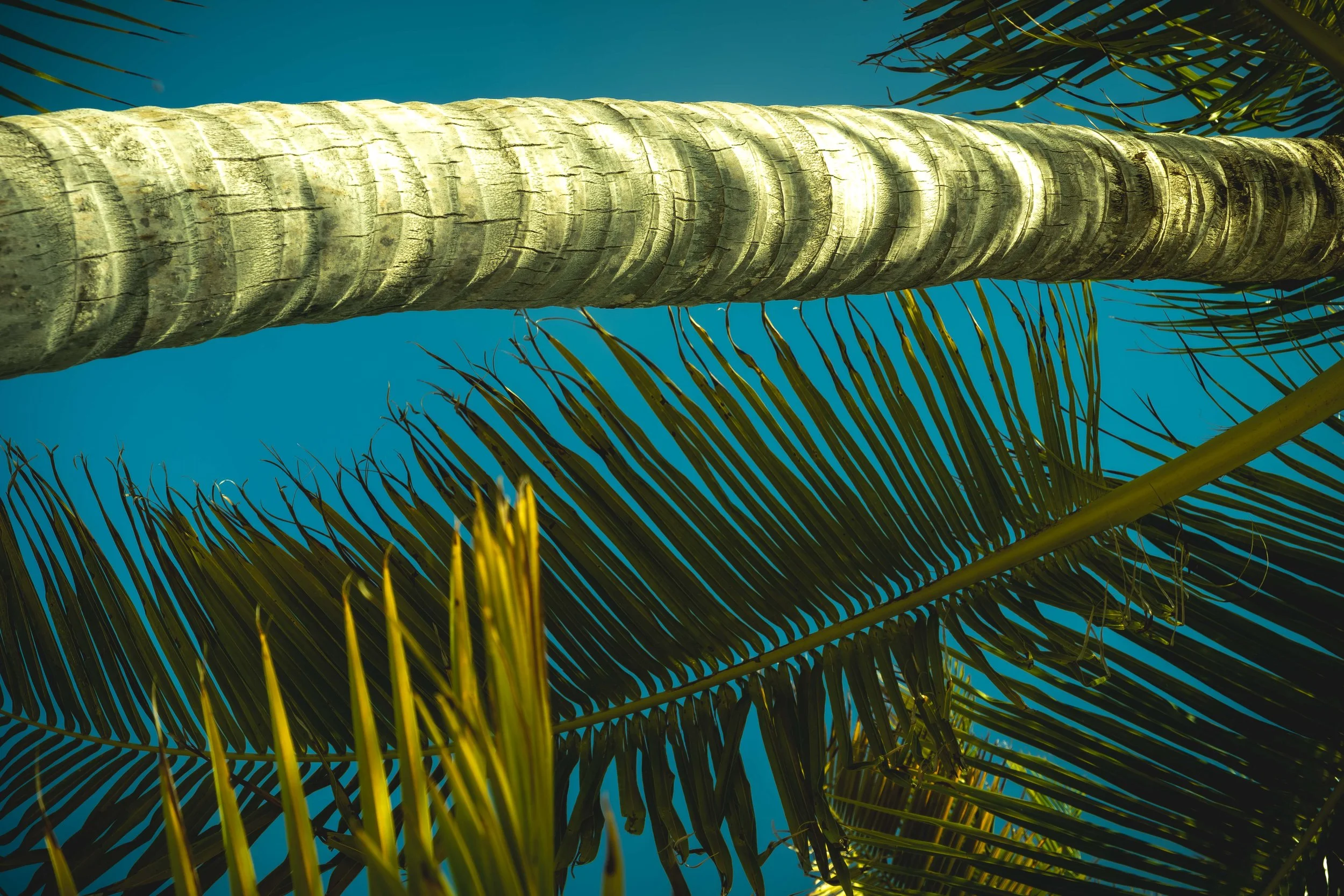 Belize