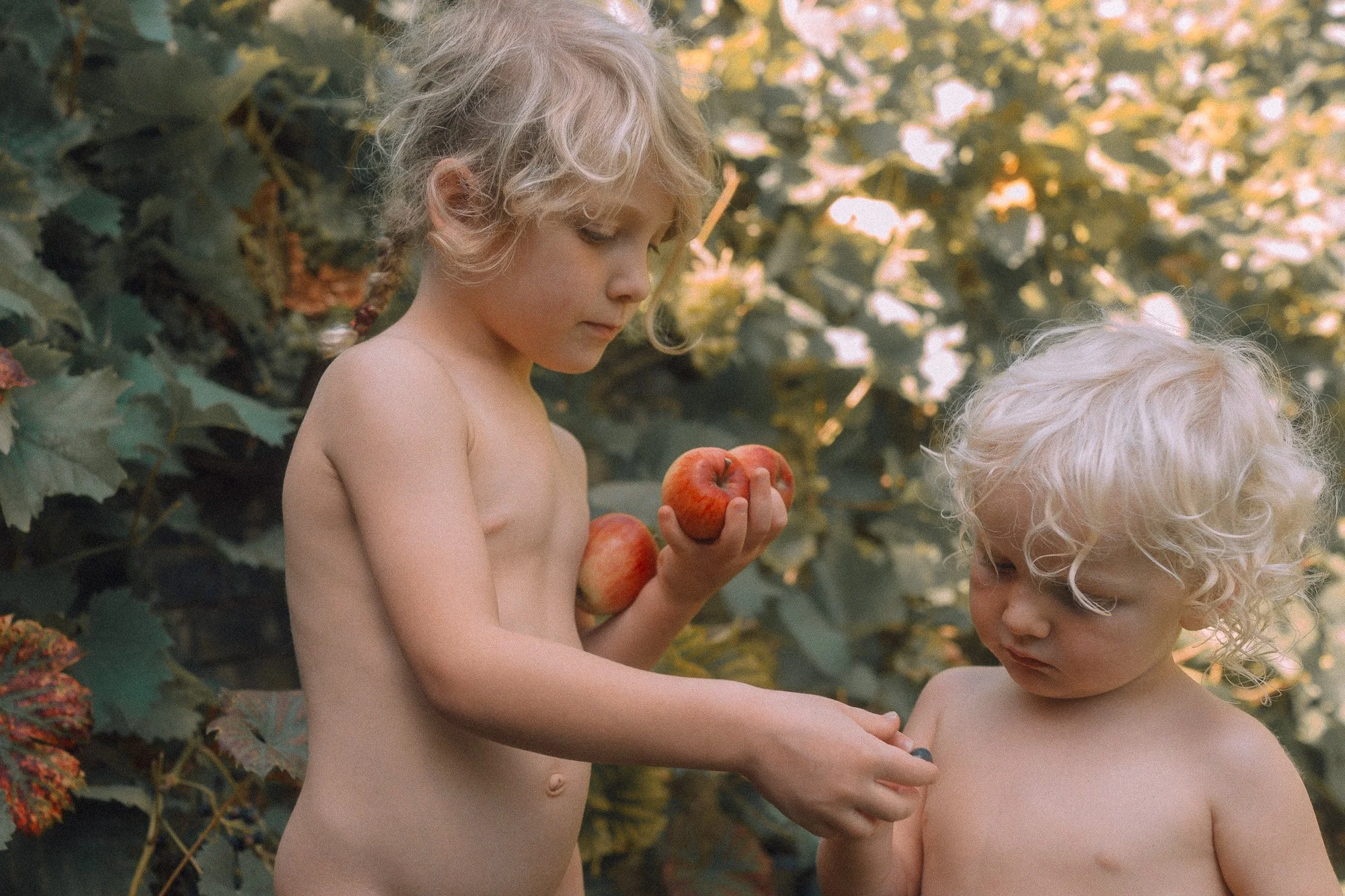 Forbidden fruit 1 .jpg