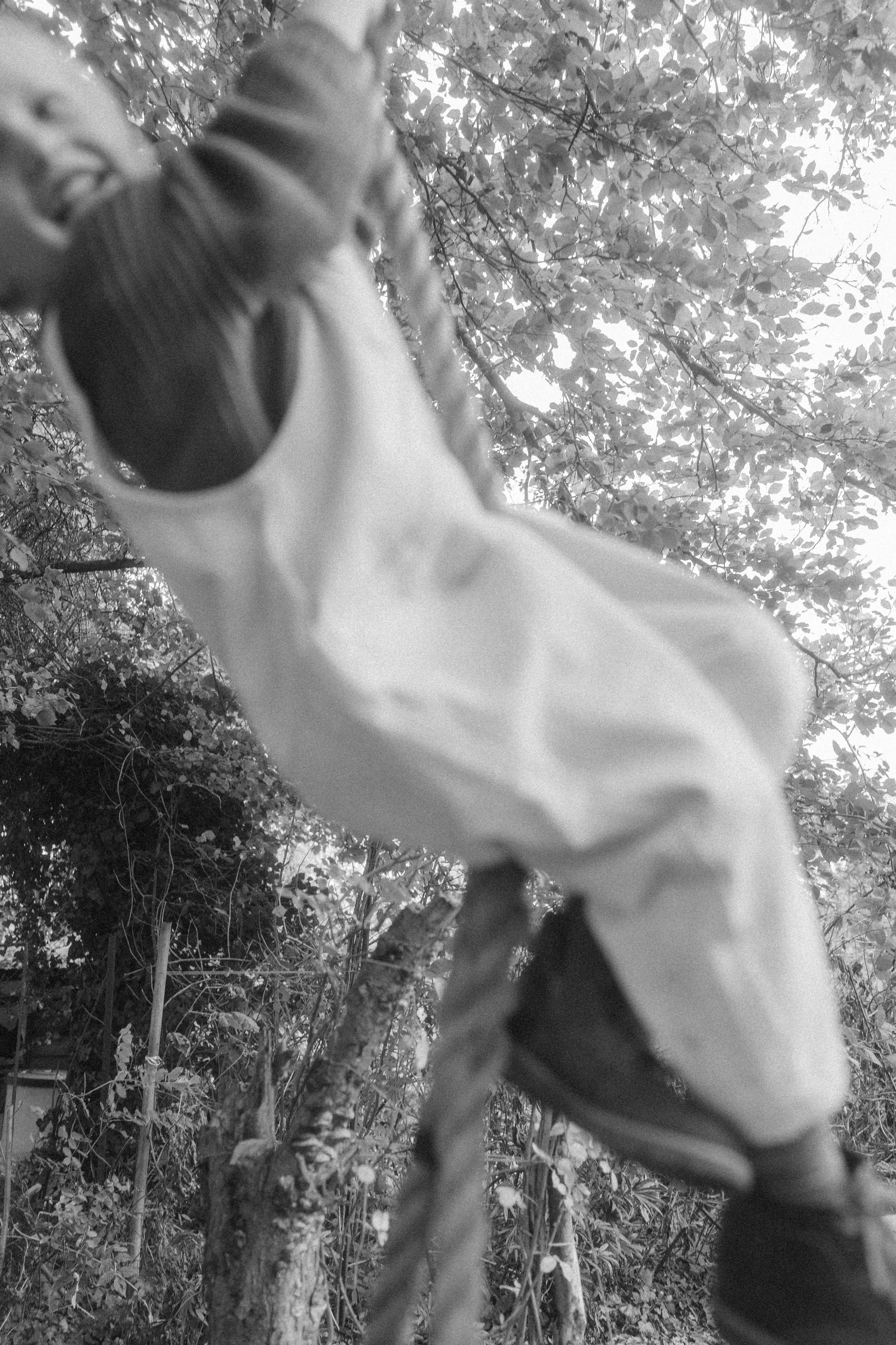 DSC01650.jpg
