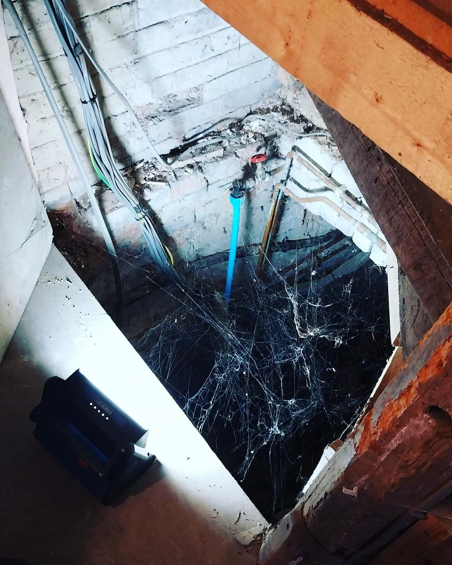 Client found a secret basement during renovation. How exciting! 

#GradeIIListed