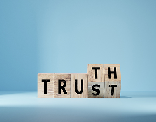 Fast, Cheap, Frequent - But Are Your Network Audits Honest?