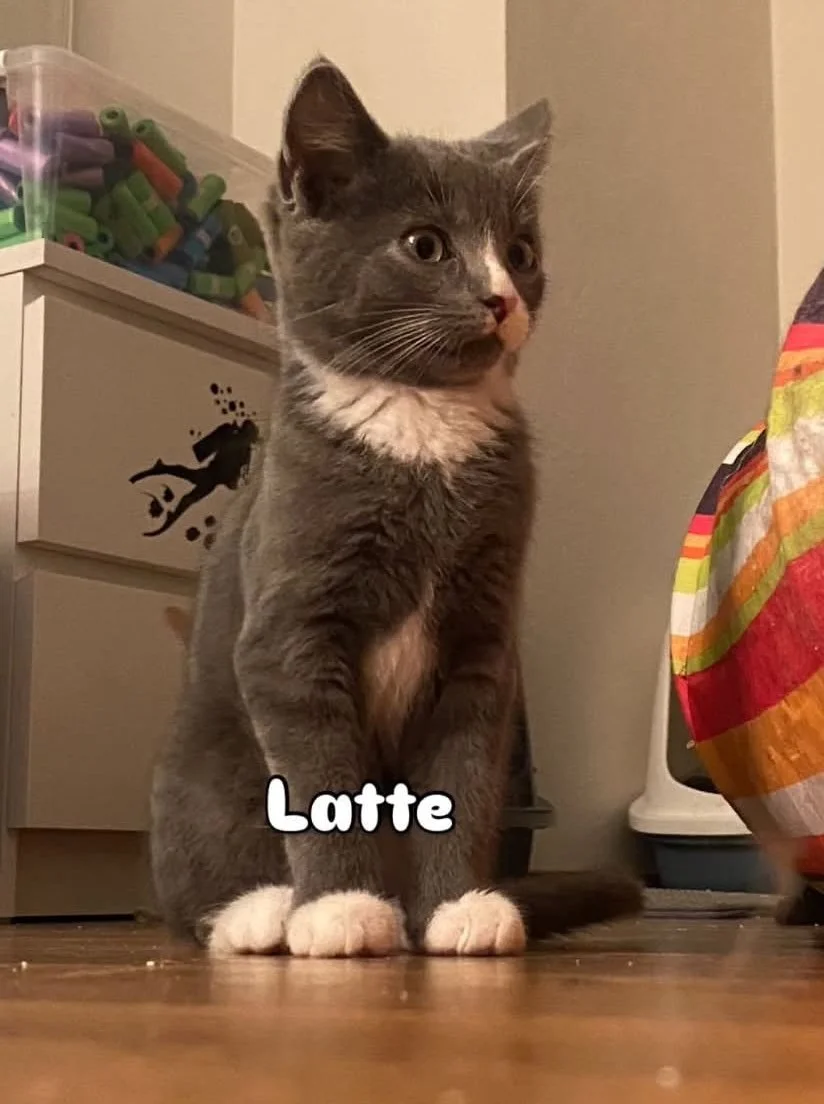 att.gxZ9rIE-kc5VCuqe-CvuaUoXm066YMVDCxRb4TwBfqk 2.jpg