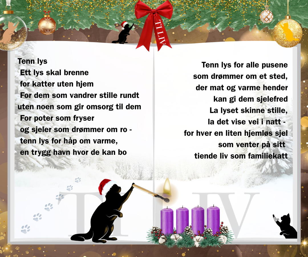 1.𝒂𝒅𝒗𝒆𝒏𝒕 