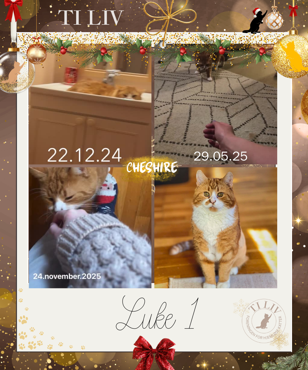 Adventkalender - Luke 1