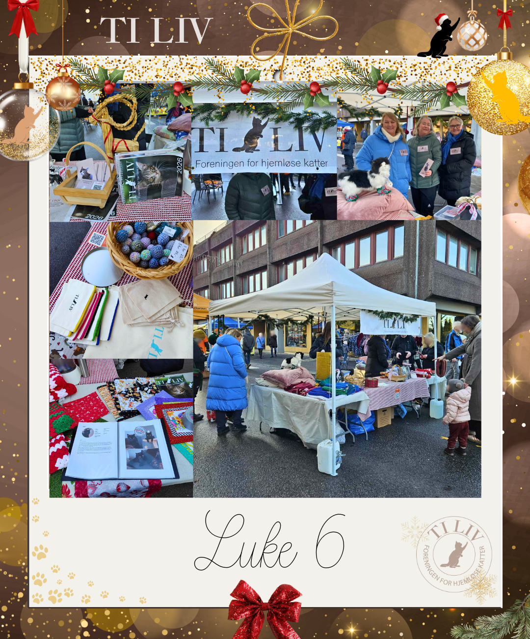 Adventkalender - Luke 6