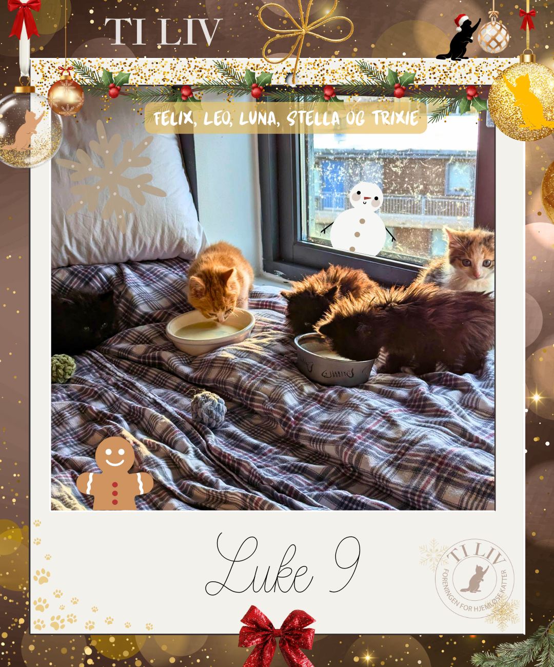 Adventkalender - Luke 9